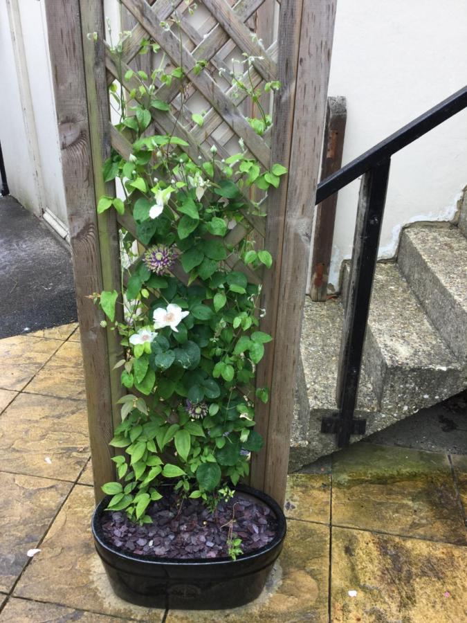 The Bell Inn 索尔兹伯里 外观 照片